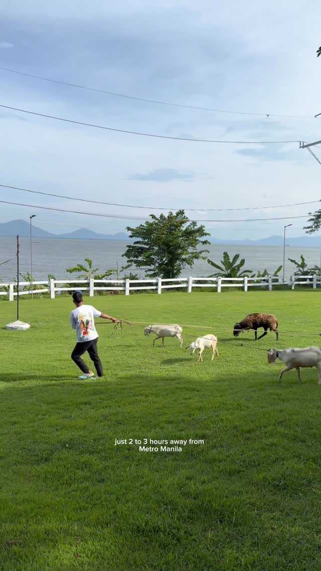 Lakefront farm experience